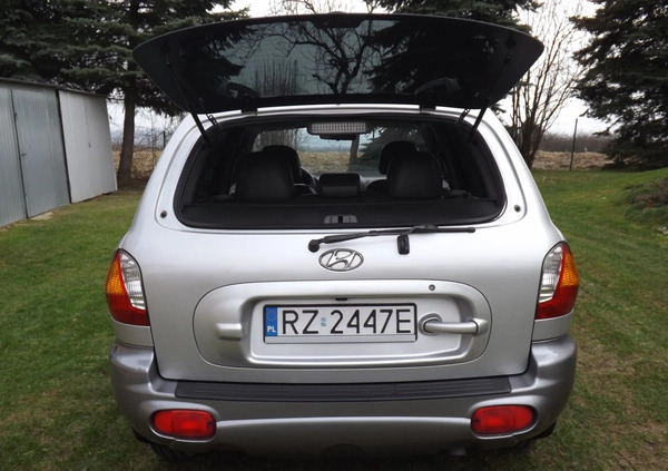 Hyundai Santa Fe cena 14700 przebieg: 292125, rok produkcji 2003 z Rzeszów małe 137